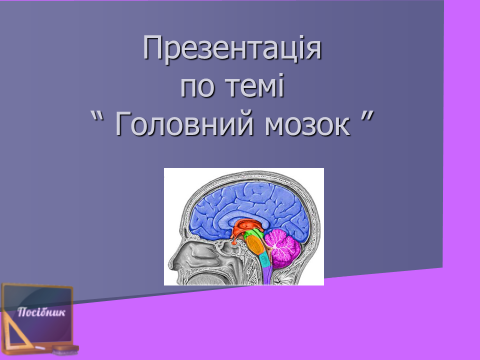 Головний мозок